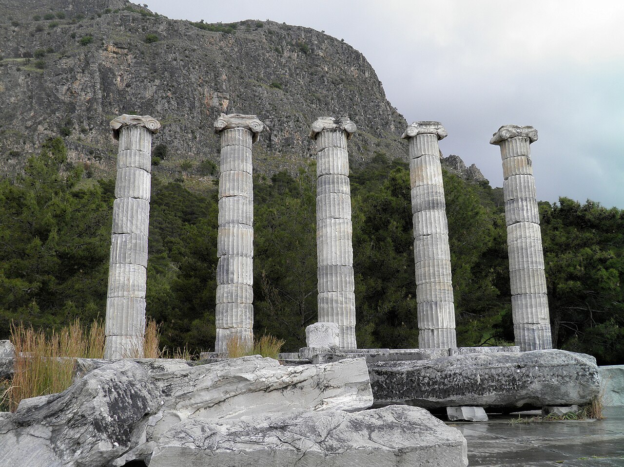 Priene antik sütunları